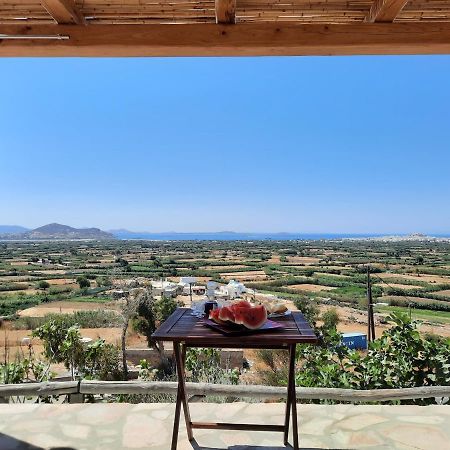 Janakos View Apartment With Private Pool Glinado Naxos Esterno foto