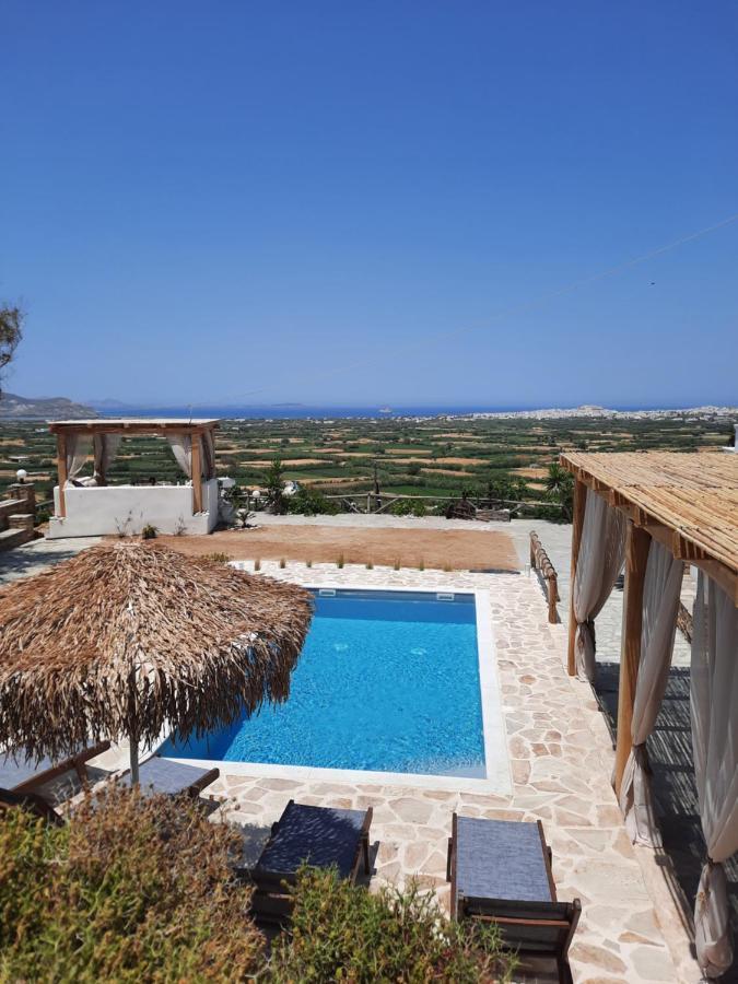 Janakos View Apartment With Private Pool Glinado Naxos Esterno foto